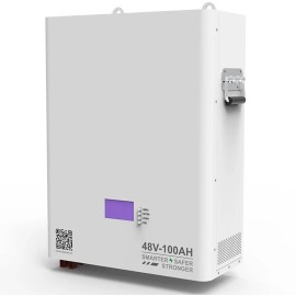 Акумулятор Dipower Wall Mounted 48V/100AH, 4800W*h (BYD NMC, 13S1P, літій-іонний акумулятор для ДБЖ (UPS))