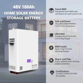 Акумулятор Dipower Wall Mounted 48V/100AH, 4800W*h (BYD NMC, 13S1P, літій-іонний акумулятор для ДБЖ (UPS))
