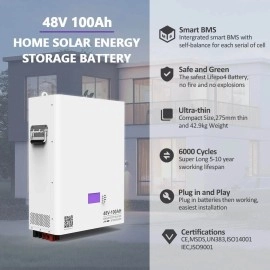 Акумулятор Dipower Wall Mounted 48V/100AH, 4800W*h (BYD NMC, 13S1P, літій-іонний акумулятор для ДБЖ (UPS))