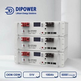 Аккумулятор Dipower LiFePO4, Rack Mounted, 51,2V/100AH, 5120W*h (литий-железо-фосфатный аккумулятор для ИБП (UPS))