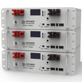 Аккумулятор Dipower LiFePO4, Rack Mounted, 51,2V/100AH, 5120W*h (литий-железо-фосфатный аккумулятор для ИБП (UPS))