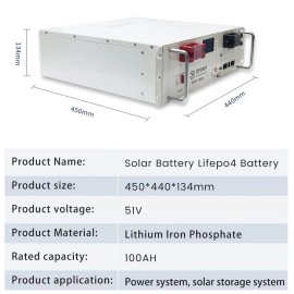 Акумулятор Dipower LiFePO4, Rack Mounted, 51,2V/100AH, 5120W*h (літій-залізо-фосфатний акумулятор для ДБЖ (UPS))