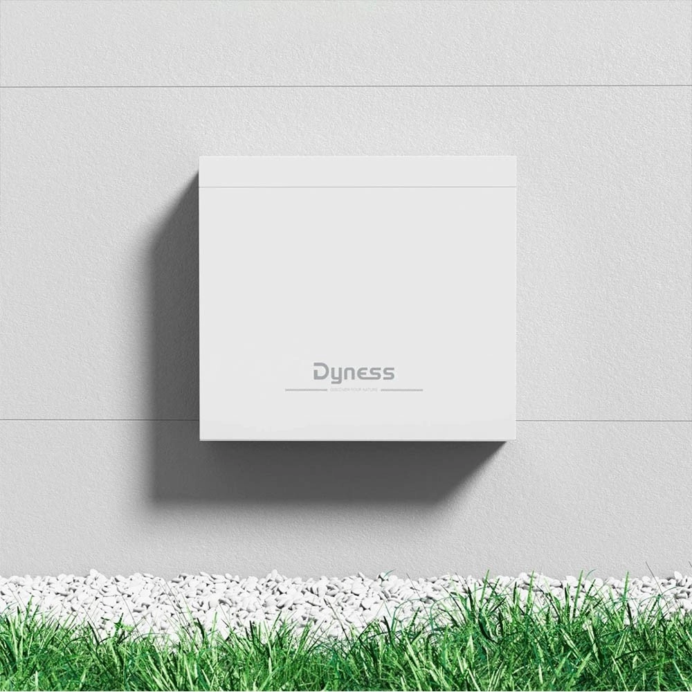 Акумулятор DYNESS 4хB4850-box LiFePO4 48V/200AH (9600W*h) (літій-залізо-фосфатний акумулятор для ДБЖ (UPS))