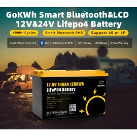 Акумулятор GoKwt LiFePO4 12V/100AH (1280W*h), з дисплеєм, Smart BMS, Bluetooth APP (літій-залізо-фосфатний акумулятор для ДБЖ (UPS))