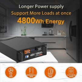 Акумулятор Haisic LiFePO4 48V/100AH, 4800W*h, 100А (літій-залізо-фосфатний акумулятор для ДБЖ (UPS))