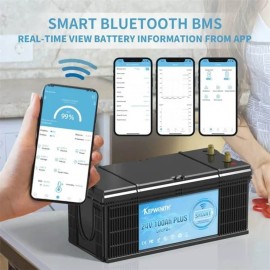 Акумулятор Kepworth LiFePO4 24V/100AH (2560W*h), Smart BMS,Bluetooth APP (літій-залізо-фосфатний акумулятор для ДБЖ (UPS))