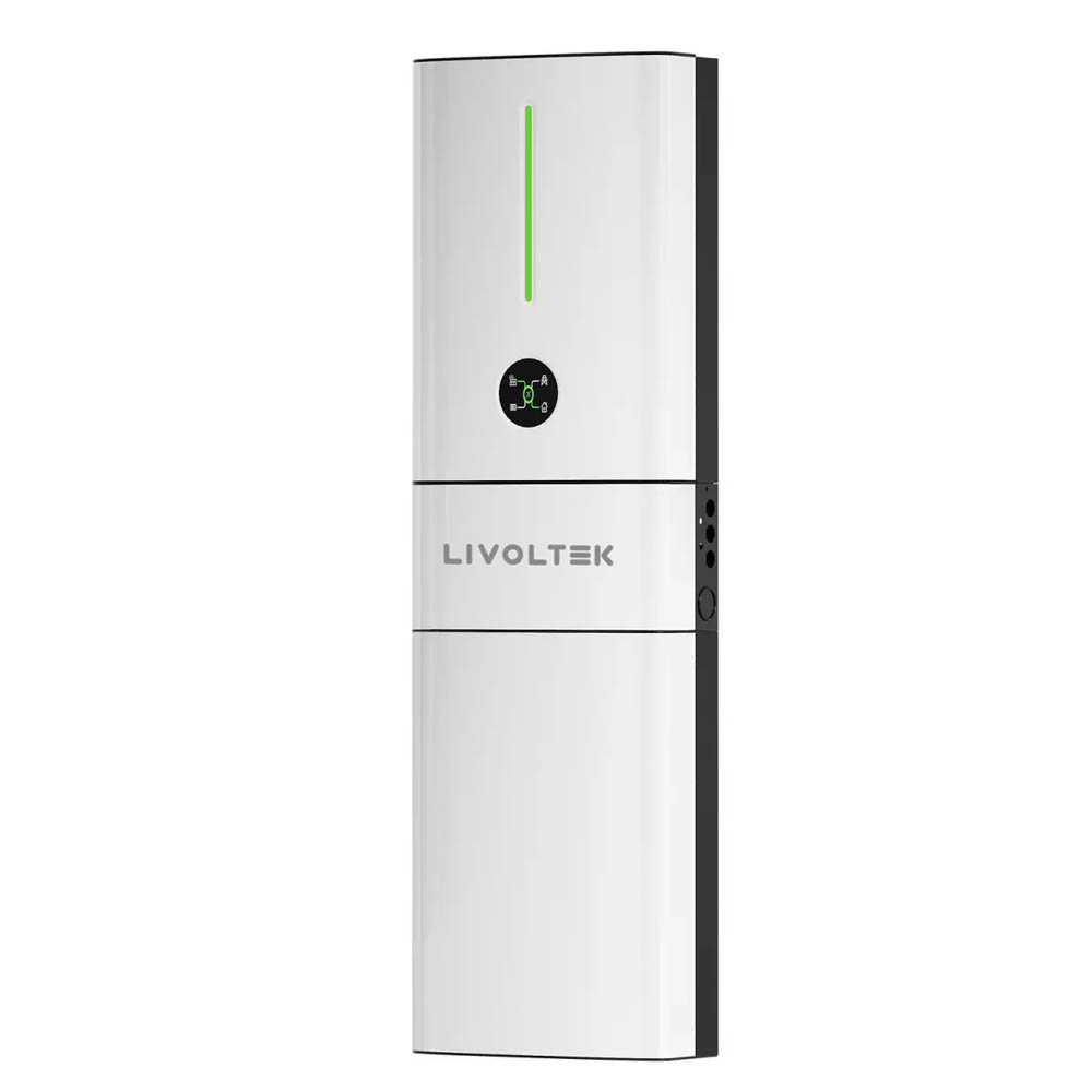 Акумулятор Livoltek BLF51 51,2V LiFePO4 100AH (5120W*h) (для будинку, котла, сонячних батарей)