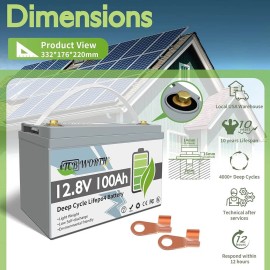 Акумулятор TCBWorth LiFePO4 12V/100AH, 1280W*h, 50A (літій-залізо-фосфатний акумулятор для ДБЖ (UPS))