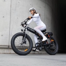 Електровелосипед фетбайк ENGWE X-24 Dual Batteries (1000 Вт; 19,2 А/год+10 А/год; 48 В), колеса 24х4", з ручкою газу, сірий