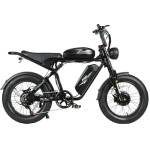 Електровелосипед SAMEBIKE Pilot M20 SR Dual Batteries (1000 Вт + 1000 Вт; 16 А*год + 16 А*год; 48 В), колеса 20", з ручкою газу, чорний