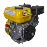Двигун бензиновий Forte F210G