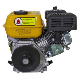 Двигун бензиновий Forte F210G