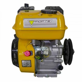 Двигун бензиновий Forte F210G