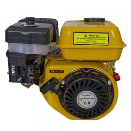 Двигун бензиновий Forte F210G