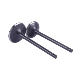 Клапани СG250 Клапани СG250