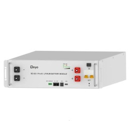 Аккумуляторная батарея Deye SE-G5.1Pro-B (LiFePO4 51,2V 100Ah)