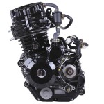Двигун ТАТА CG300 на мотоцикл, L170 ММ (з водяним охолодженням, бензиновий)