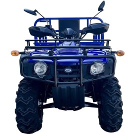 Квадроцикл вантажний Forte ATV-250BS-T синій