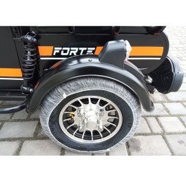 Трицикл акумуляторний Forte CARGO-P650 чорний