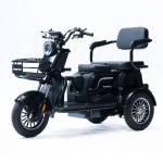 Трицикл акумуляторний Forte Family-P1000 чорний