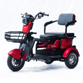 Трицикл акумуляторний Forte Family-P600 червоний