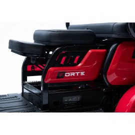 Трицикл акумуляторний Forte Family-P600 червоний