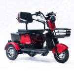 Трицикл акумуляторний Forte Family-P600 червоний