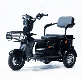 Трицикл акумуляторний Forte Family-P600 чорний