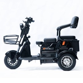 Трицикл акумуляторний Forte Family-P600 чорний
