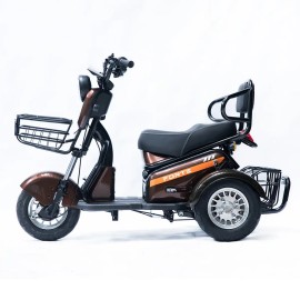 Трицикл акумуляторний Forte S1-P600 коричневий