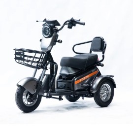Трицикл акумуляторний Forte S1-P600 сірий