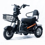 Трицикл акумуляторний Forte S1-P600 чорний