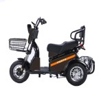 Трицикл акумуляторний Forte S1-WS600 чорний