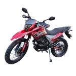 Мотоцикл Forte CROSS 300 MAX червоний