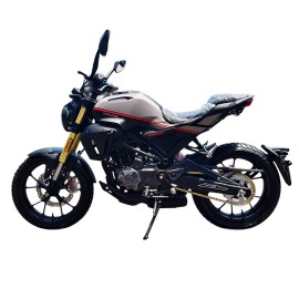 Мотоцикл Spark SP300SC-1 (заводська упаковка)