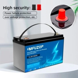 LiFePO4 12V 100Ah Акумулятор MFUZOP 1280Wh, 100A, BMS
