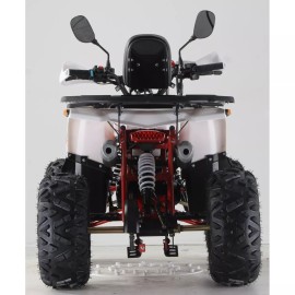 Квадроцикл Forte ATV125F бело-красный