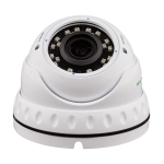 Антивандальна IP камера GV-060-IP-E-DOS30V-30