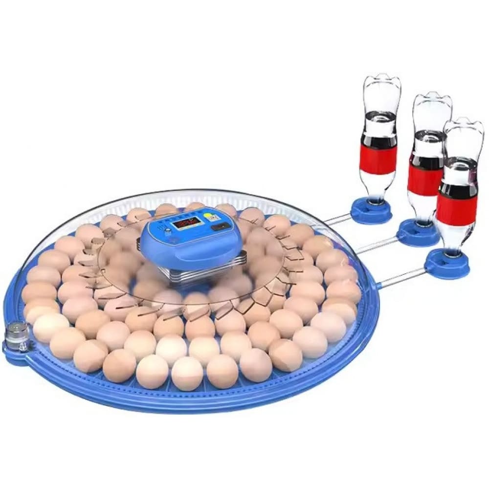 Інкубатор автоматичний на 80 яєць Vertis (220/12В) з цифровим контроллером