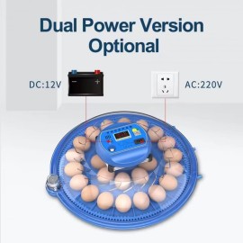 Інкубатор автоматичний на 80 яєць Vertis (220/12В) з цифровим контроллером