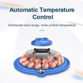 Інкубатор автоматичний на 80 яєць Vertis (220/12В) з цифровим контроллером