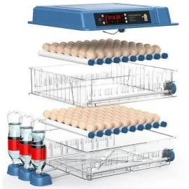 Інкубатор автоматичний на 200 яєць Vertis (220/12В) з цифровим контроллером, автоматичним зволоженням