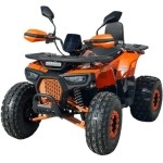 Електроквадроцикл DOZER Model T1500