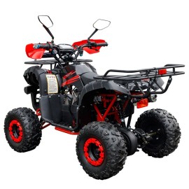 Квадроцикл Spark SP110-4 (заводська упаковка)