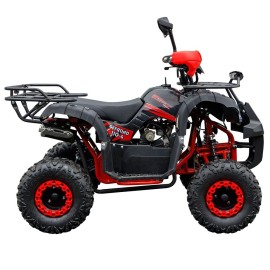 Квадроцикл Spark SP110-4 (заводська упаковка)