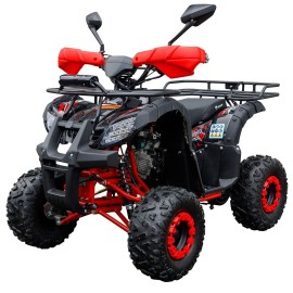 Квадроцикл Spark SP110-4 (заводська упаковка)