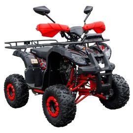 Квадроцикл Spark SP110-4 (заводська упаковка)