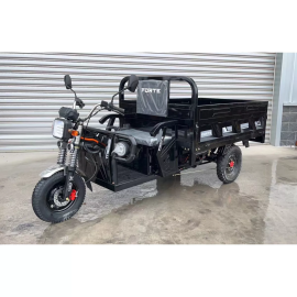 Вантажний електричний трицикл FORTE JB-1500 Чорний
