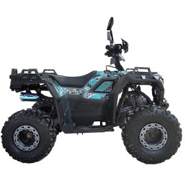 Квадроцикл Spark SP125-11 (заводська упаковка) 