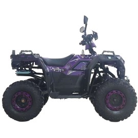 Квадроцикл Spark SP125-11 (заводська упаковка) 